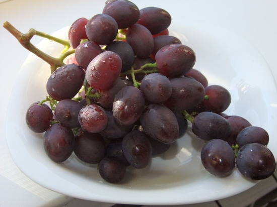 гроздь гибридной формы винограда Памяти учителя